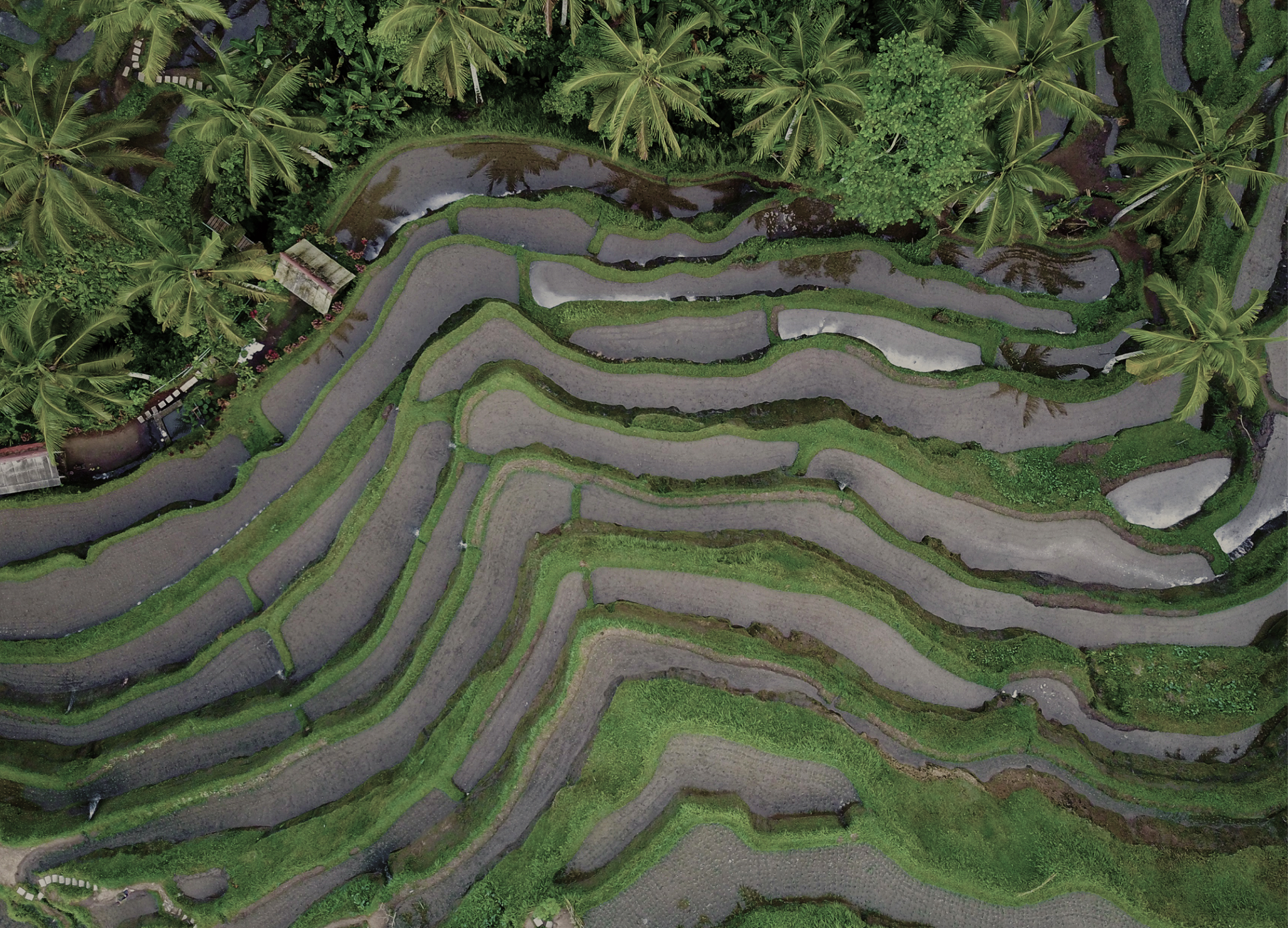 Land